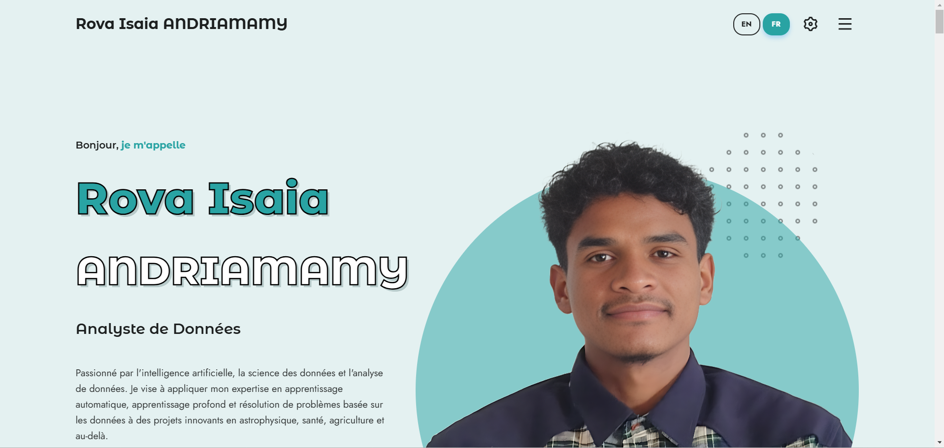 Portfolio Professional